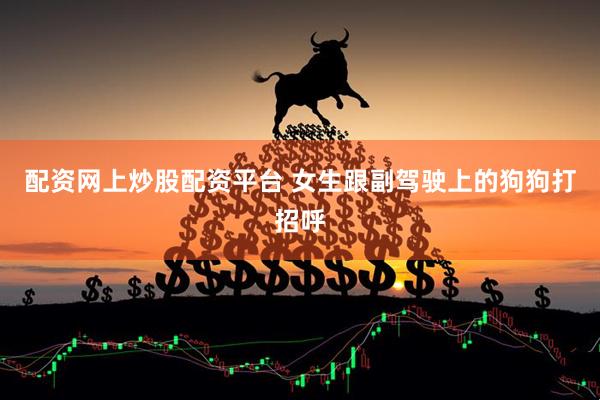 配资网上炒股配资平台 女生跟副驾驶上的狗狗打招呼